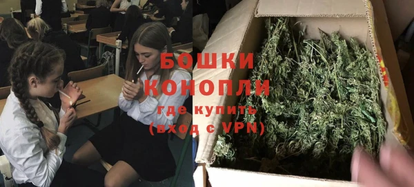 соль ск Богородицк
