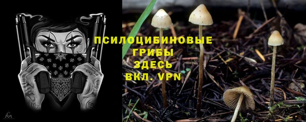 соль ск Богородицк